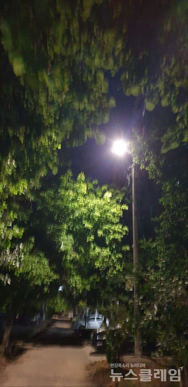 사진=정보철 편집위원