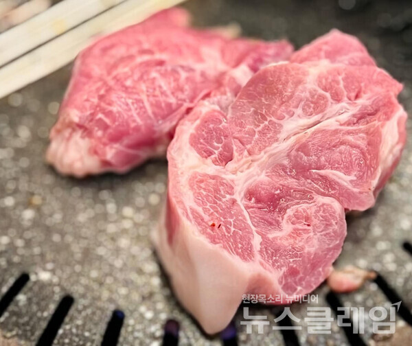 사진=김대식 객원위원