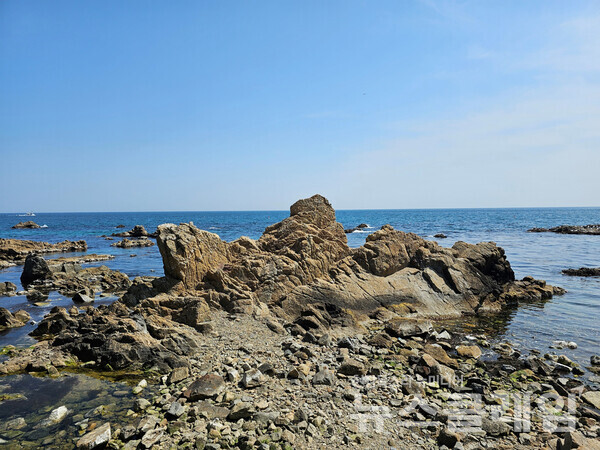 바다 경치를 방해하는 ‘스카이레일’ 기둥 사이로 내다본 죽변항 바다는 빼어난 모습을 펼쳐놓고 있었다. 사진=오근식 객원위원