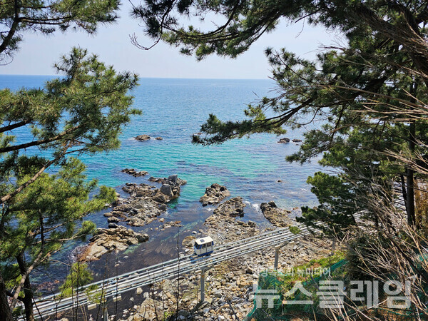 해변에서 죽변등대 공원까지는 꽤 높게 느껴지는 산책로를 걸어 올라야 했는데, 다 오르던 중 바라보니 바다와 바위가 스카이레일 시설을 품고 있었다. 사진=오근식 객원위원