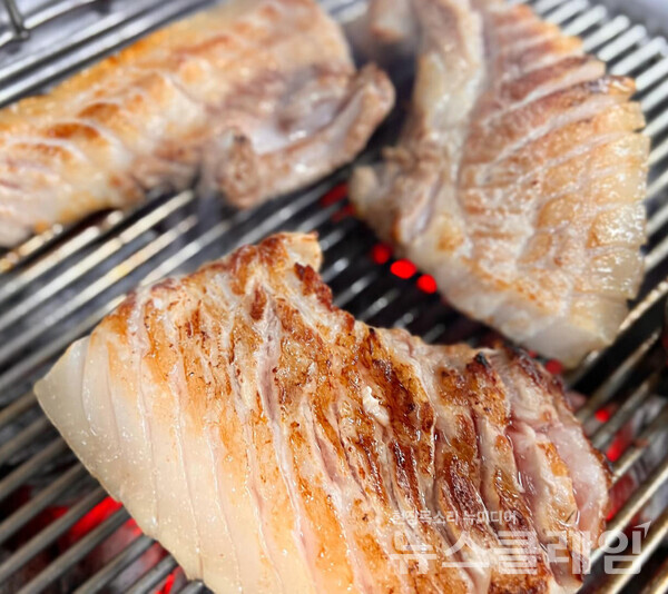 사진=김대식 객원위원