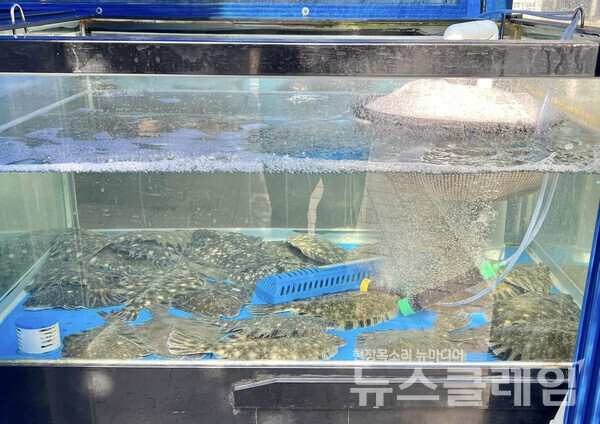 사진=김대식 객원위원