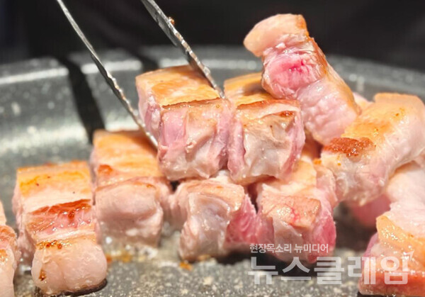 사진=김대식 객원위원