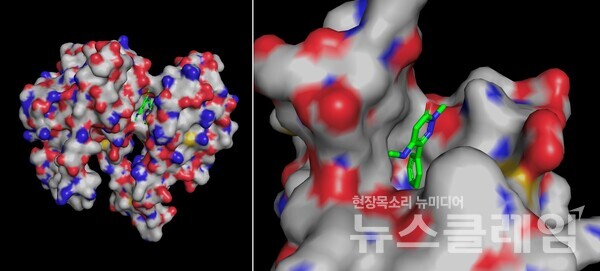 화합물을 3D 모델링해 시각화한 예시 이미지. 대웅제약 제공