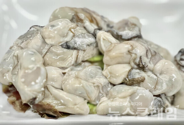 사진=김대식 객원위원