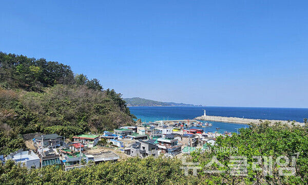 삼척시 근덕면 초곡1리 마을에서 자란 황영조는 중학교에 입학해 사이클 선수로 운동을 시작했다. 그가 살았던 집엔 오륜마크가 그려져 있었다. 사진=오근식 객원위원