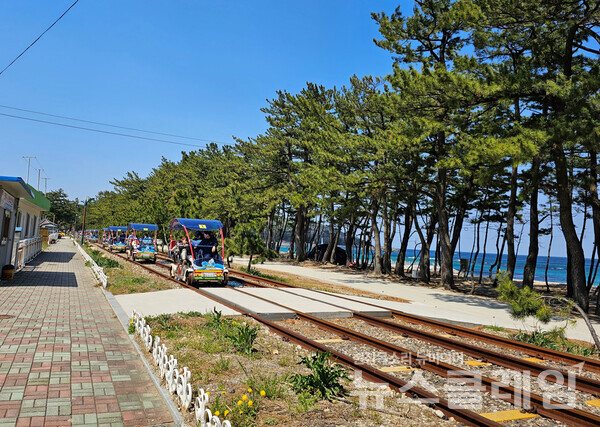 궁촌항 근처에서 레일바이크는 끝나고 해파랑길30코스도 끝난다. 이곳에서도 용화해변으로 향하는 레일바이크가 출발한다. 사진=오근식 객원위원