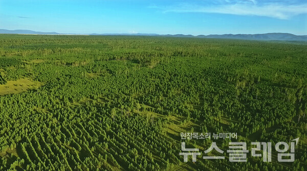 몽골 유한킴벌리 숲 전경. 유한킴벌리 제공