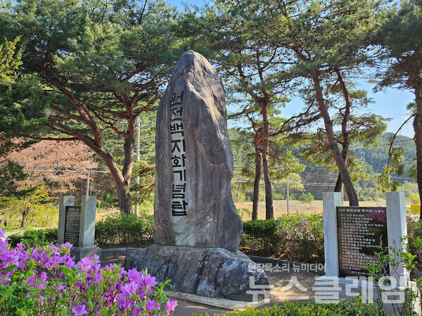 ‘원전백지화기념탑’은 2010년부터 삼척에 원자력발전소 건설을 반대한 끝에 2019년 최종적으로 이 계획이 철회된 것을 기념한 비석이다. 일본 반핵운동가가 방문 기념으로 심은 나무와 함께 있다. 사진=오근식 객원위원