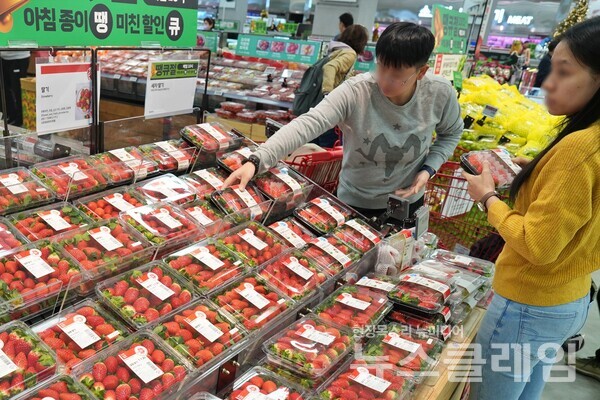 롯데마트 제타플렉스 서울역점 딸기 매대 전경. 롯데쇼핑 제공