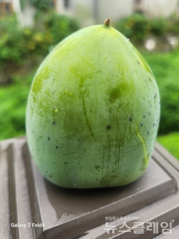 사진=정보철 편집위원