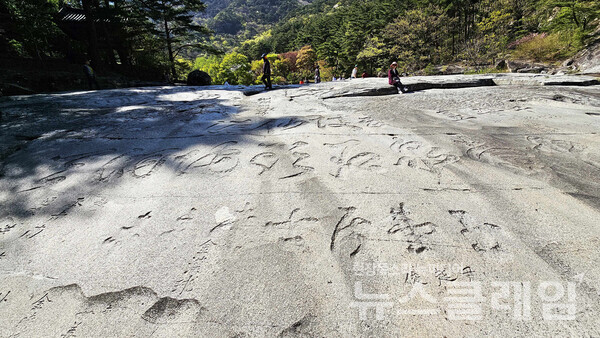 무릉계곡의 금란정 앞에는 넓이가 1,500평에 이른다는 화강암 암판이 펼쳐져 있는데 이를 무릉반석이라 한다. 무릉반석에는 약 850명이 이름을 남기고 있는데 이중 군계일학이 이 글씨, [中臺泉石 頭陀洞天(중대천석 두타동천)이다. 사진=오근식 객원위원