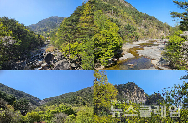 무릉계곡에 들어서면 그리 힘들여 멀리까지 걸어 오르지 않아도 눈 두는 곳마다 마음을 두고 온다. 사진=오근식 객원위원