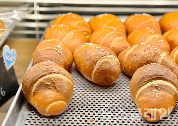 사진=김대식 객원위원