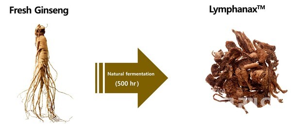 발효 인삼 소재 림파낙스 이미지. 아모레퍼시픽 제공