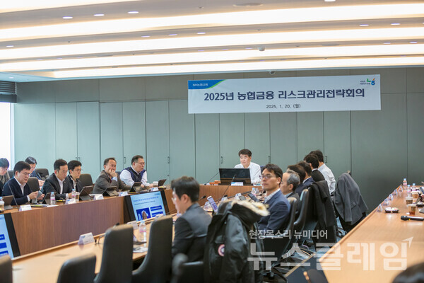 지난 20일 NH농협금융은 서울 여의도 소재 NH투자증권 본사에서 '2025년 농협금융 리스크관리 전략회의'를 개최했다. 양재영 리스크관리부문장이 리스크관리 전략회의를 주재하고 있다. NH농협금융 제공