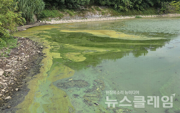 사진=환경운동연합