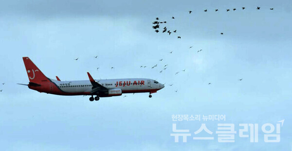 사진=새만금신공항 백지화공동행동