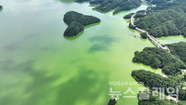 사진=환경운동연합