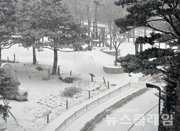 6일 오후 서울 마포구에 많은 눈이 내리고 있다. 사진=강민기 기자