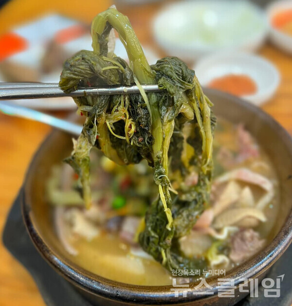 사진=김대식 객원위원