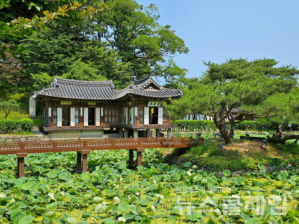 월하문은 지나 만나는 정자는 활래정이다. 이 이름은 조선 시대 선비들이 흠모하며 이상으로 여기던 주자의 시 중 ‘샘이 있어 맑은 물이 흘러오기 때문(위유원두활수래; 爲有源頭活水來)’에서 가져왔다. 사진=오근식 객원위원