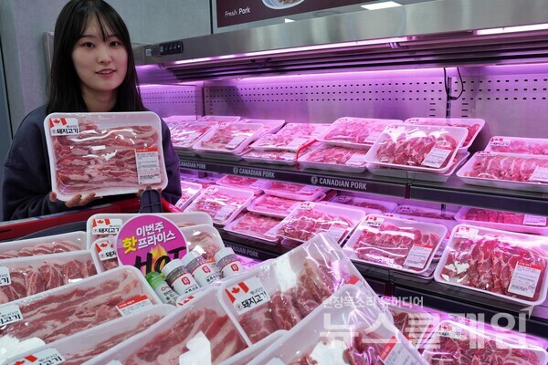롯데마트 제타플렉스 잠실점 수입 삼겹살 코너에서 캐나다산 삼겹살을 홍보하는 직원 모습. 롯데쇼핑 제공
