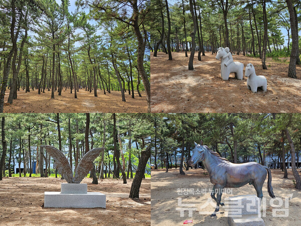 안목해변에서 이어지는 송정해변은 백사장 가의 소나무 숲이 멋진 곳이다. 숲에선 기념사진 한 장 찍고 싶어지는 다양한 조형물을 만날 수 있다. 사진=오근식 객원위원