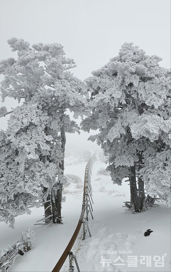 사진=정보철 편집위원