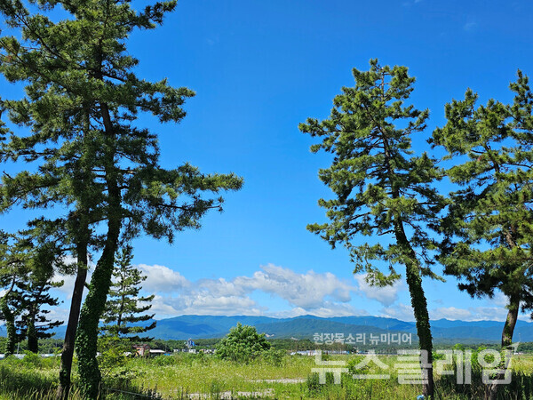 바닷가를 채 1km도 걷지 않았는데 하평해수욕장을 지나면서 길이 바닷가를 벗어난다. 서쪽 대관령을 품은 산줄기가 바다를 대신해 눈을 시원하게 해 준다. 사진=오근식 객원위원