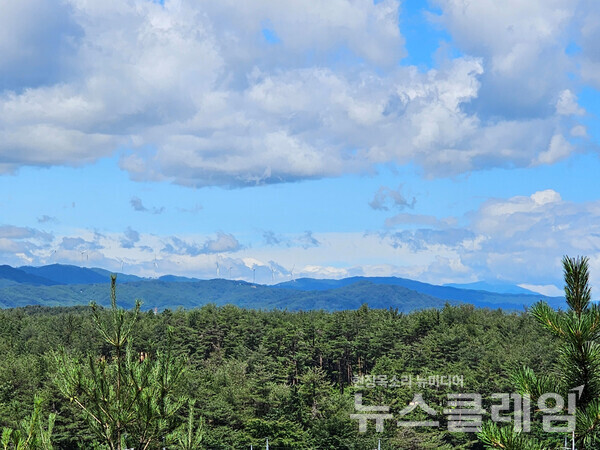이 숲에는 고분뿐 아니라 축성 시기와 목적이 밝혀지지 않은 토성의 흔적이 남아 있다. 이젠 숲으로 변하고 있는 이곳에서 바라보는 산줄기가 바다 못지않게 시원했다. 사진=오근식 객원위원
