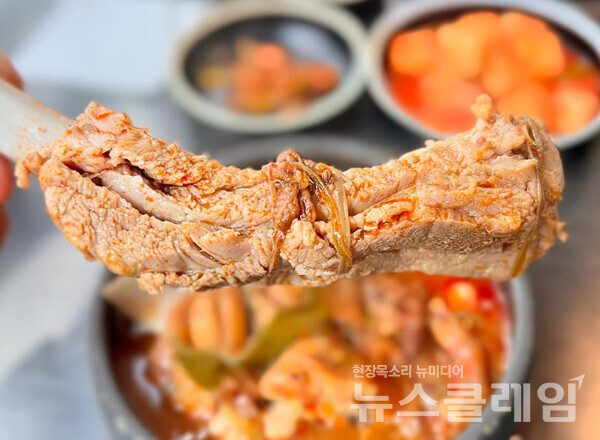 사진=김대식 객원위원