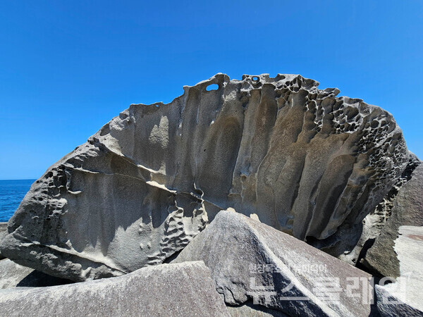 동해안을 걷다 보면 바닷가에 돌출된 작은 언덕의 이름으로 죽도와 송도를 많이 쓰고 있다. 양양의 죽도를 돌아 걷다가 만난 멋진 바위인데 이름이 부채바위라고 한다. 문득 비너스가 탄생한 조개껍질처럼 보였다. 사진=오근식 객원위원