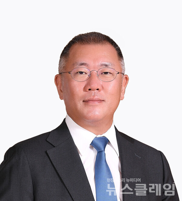 현대자동차그룹 정의선 회장. 현대자동차그룹 제공