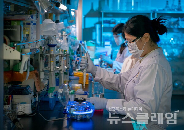 대웅제약 연구원들이 연구를 진행하고 있는 모습. 대웅제약 제공