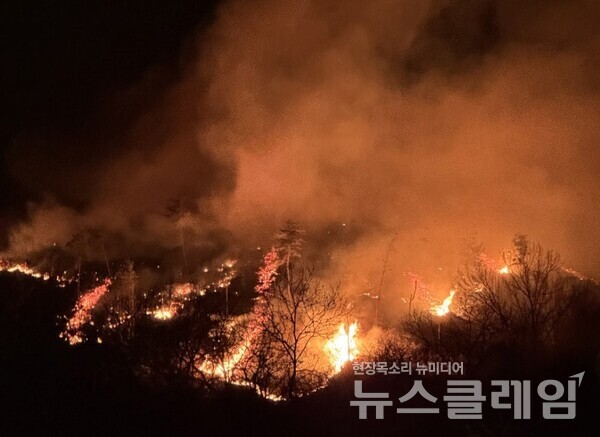 지난 21일 경남 산청군 시천면 한 야산에서 발생한 산불. 사진=산림청