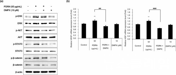 아모레퍼시픽(대표이사 김승환)이 미세조류 클로렐라에서 추출한 PDRN의 피부 재생 효과를 밝혔다. 아모레퍼시픽 제공