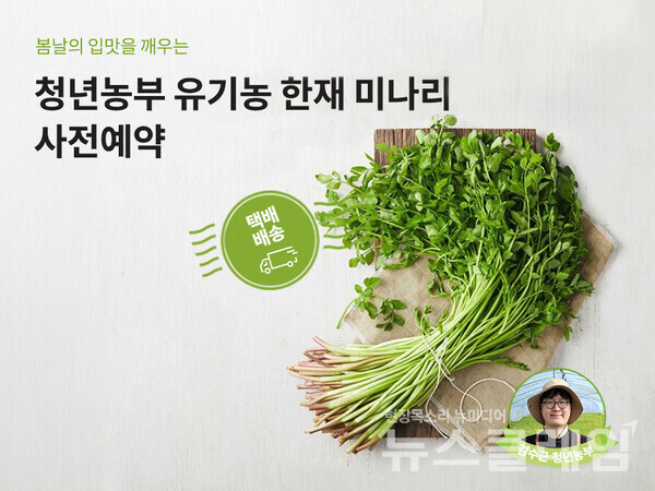 현대그린푸드가 그리팅몰에서 사전예약 방식으로 판매한 유기농 한재 미나리. 현대그린푸드 제공