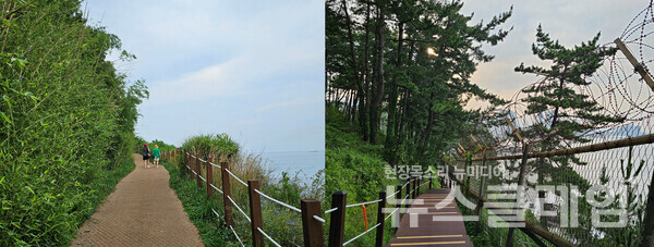 외옹치 주변 산책로는 평화의 상징이지만 분단의 아픔을 잊지 말라는 뜻에서 과거 군사경계작전용 철책을 일부 구간에 남겨두었다. 사진=오근식 객원위원
