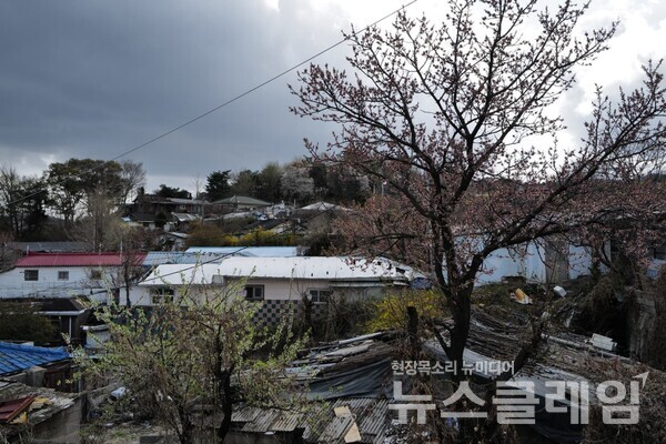 사진=최인기 빈민운동가