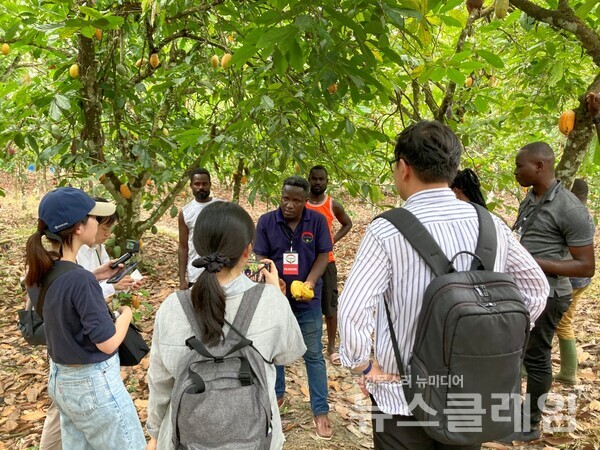 지난해 10월 아프리카 가나 현지를 방문해 현지 농가 점검하며 지속가능 카카오 원두 프로젝트를 진행하고 있다. 롯데웰푸드 제공
