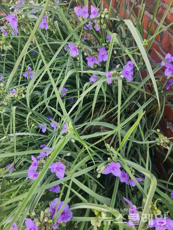 사진=정보철 편집위원