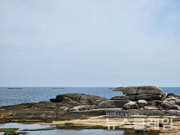 바닷가에서 주로 백사장을 보며 걸었던 탓에 암반과 기묘한 형상의 바위에 더 오래 눈길이 머문다. 사진=오근식 객원위원