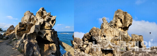 능파대엔 헤아릴 수 없는 긴 세월 바닷물과 바람이 빚어 놓은 기기묘묘한 바위들이 가득 모여 있다. 사진=오근식 객원위원