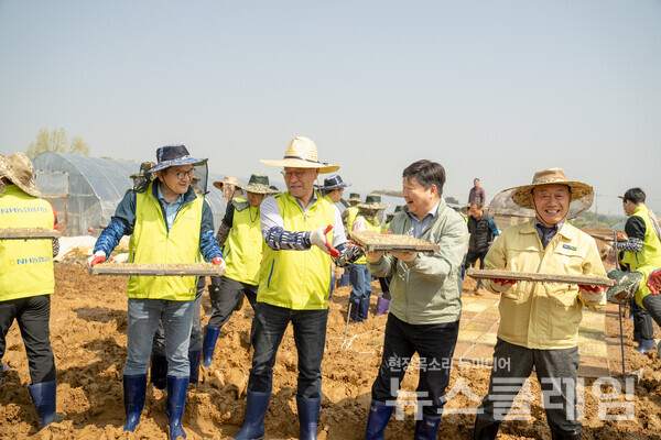 이재호 부사장(왼쪽에서 첫 번째), 이찬우 회장(왼쪽에서 두 번째), 홍성규 신도농협 조합장(왼쪽에서 세 번째), 장순복 지도농협 조합장(왼쪽에서 네 번째)이 모판 나르기를 하고 있다. NH농협금융 제공