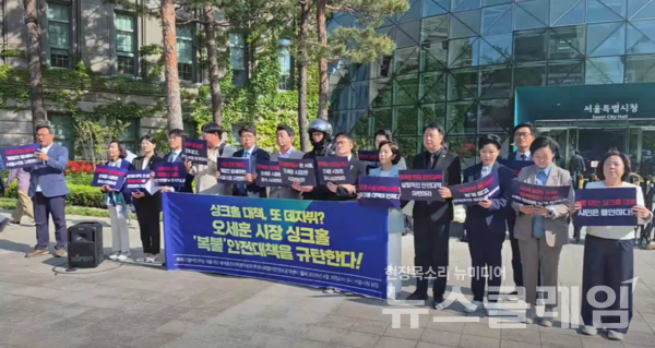 30일 오전 서울시청 광장에서 열린 '싱크홀 사고 사과 요구 및 복붙 안전대책 규탄 기자회견'. 사진=김동길 기자