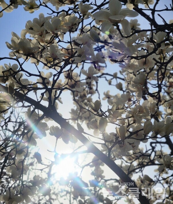 사진=정보철 편집위원