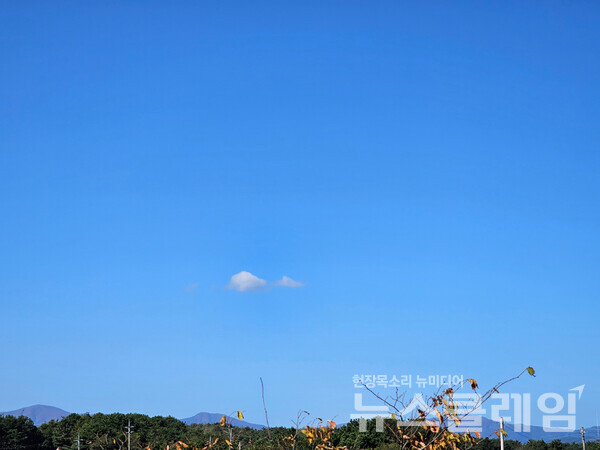 바다 반대쪽의 산을 바라보다 찾은 한 점 구름을 보고 문득 孤雲(고운)을 생각했다. 발걸음은 앞으로 나가고 생각은 신라 시대를 날고 있다. 사진=오근식 객원위원