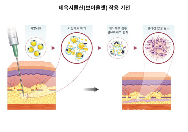 데옥시콜산 작용기전. 대웅제약 제공