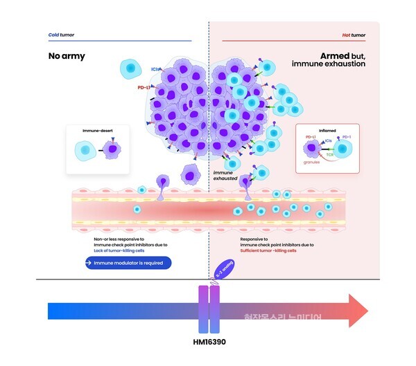 HM16390의 작용기전. 한미약품 제공